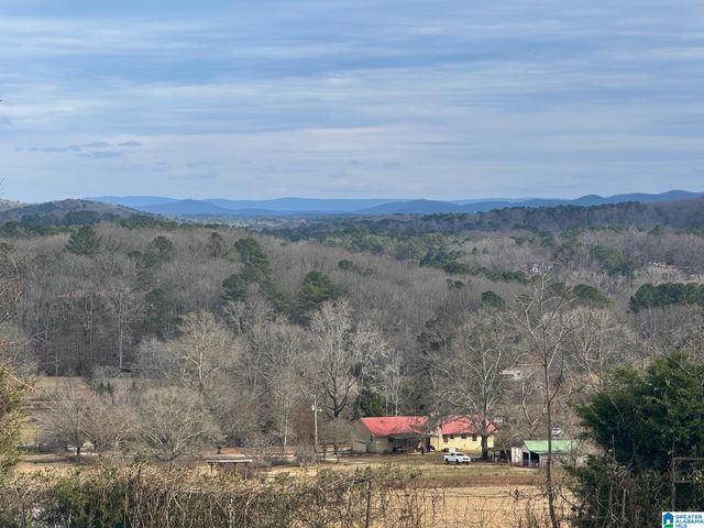 3953 LOGAN MARTIN DAM ROAD, Cropwell, AL 35054