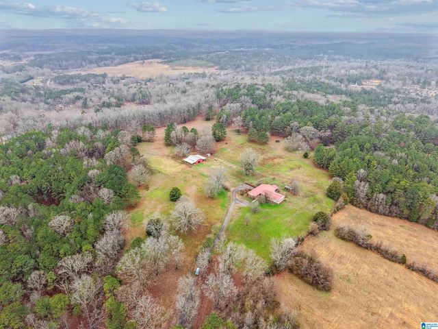 3953 LOGAN MARTIN DAM ROAD, Cropwell, AL 35054