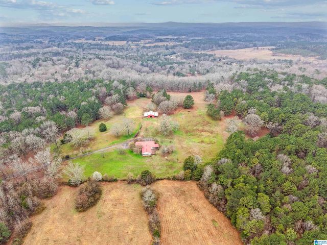 3953 LOGAN MARTIN DAM ROAD, Cropwell, AL 35054