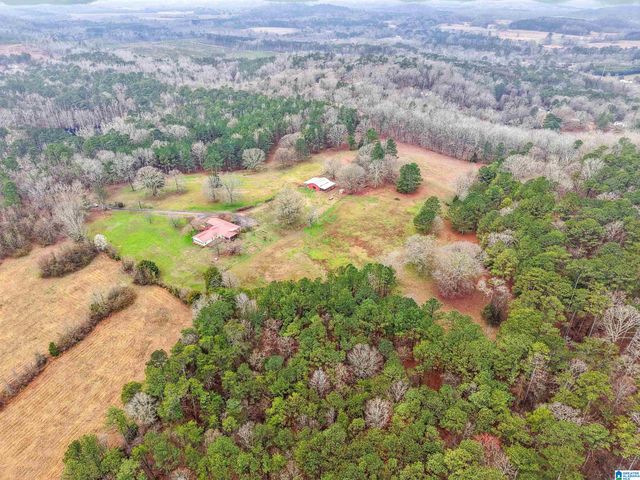 3953 LOGAN MARTIN DAM ROAD, Cropwell, AL 35054