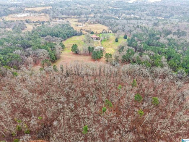 3953 LOGAN MARTIN DAM ROAD, Cropwell, AL 35054