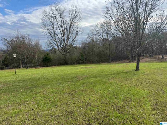 3953 LOGAN MARTIN DAM ROAD, Cropwell, AL 35054