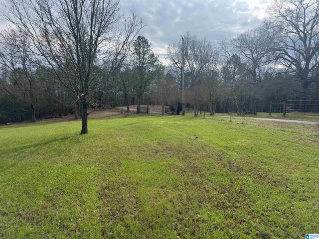 3953 LOGAN MARTIN DAM ROAD, Cropwell, AL 35054