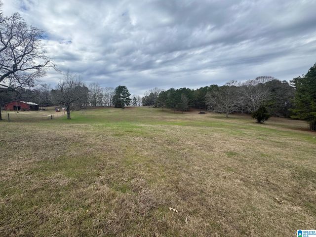 3953 LOGAN MARTIN DAM ROAD, Cropwell, AL 35054