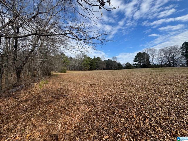 3953 LOGAN MARTIN DAM ROAD, Cropwell, AL 35054