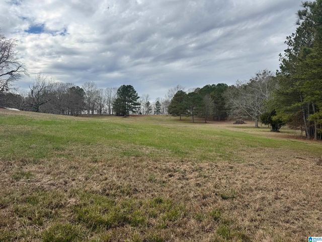 3953 LOGAN MARTIN DAM ROAD, Cropwell, AL 35054