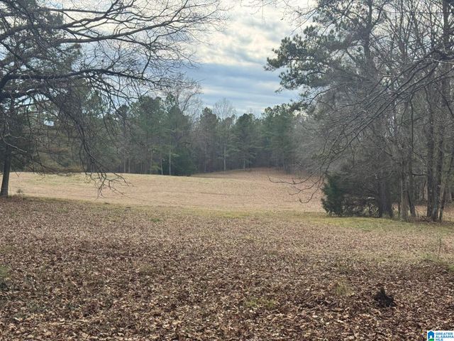 3953 LOGAN MARTIN DAM ROAD, Cropwell, AL 35054