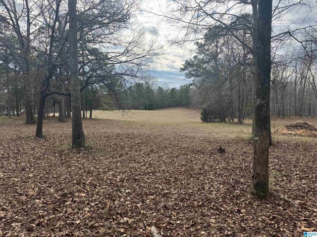 3953 LOGAN MARTIN DAM ROAD, Cropwell, AL 35054