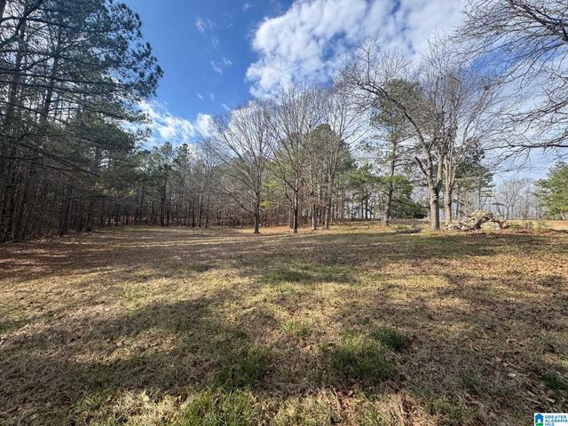 3953 LOGAN MARTIN DAM ROAD, Cropwell, AL 35054