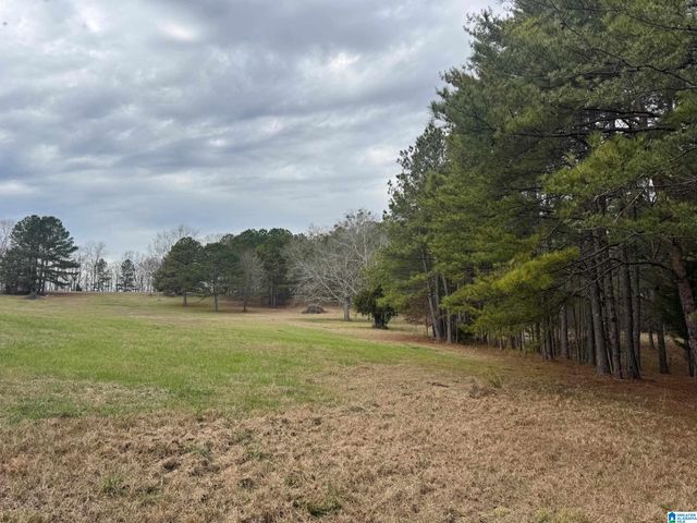 3953 LOGAN MARTIN DAM ROAD, Cropwell, AL 35054