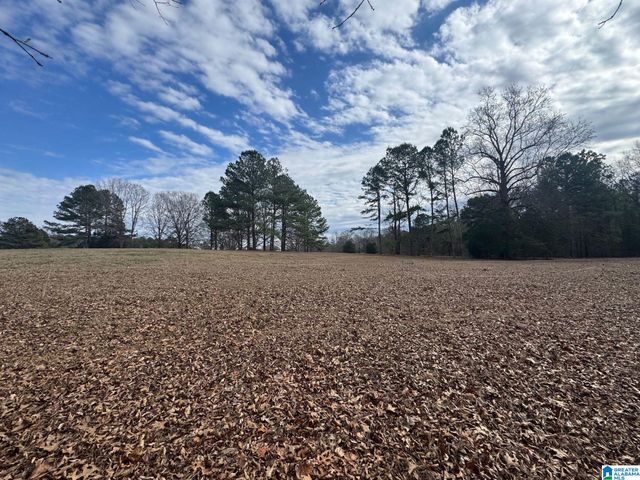 3953 LOGAN MARTIN DAM ROAD, Cropwell, AL 35054