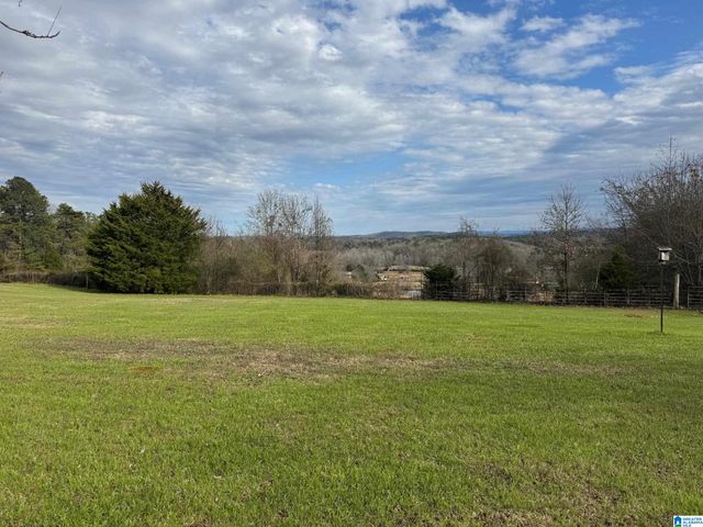 3953 LOGAN MARTIN DAM ROAD, Cropwell, AL 35054