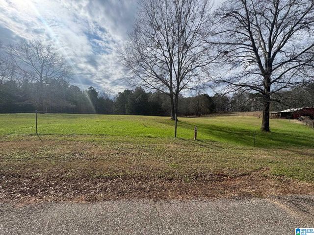 3953 LOGAN MARTIN DAM ROAD, Cropwell, AL 35054