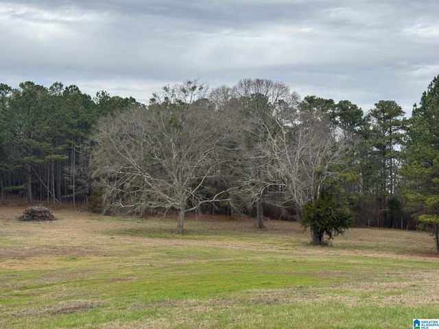 3953 LOGAN MARTIN DAM ROAD, Cropwell, AL 35054