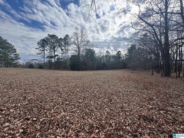 3953 LOGAN MARTIN DAM ROAD, Cropwell, AL 35054