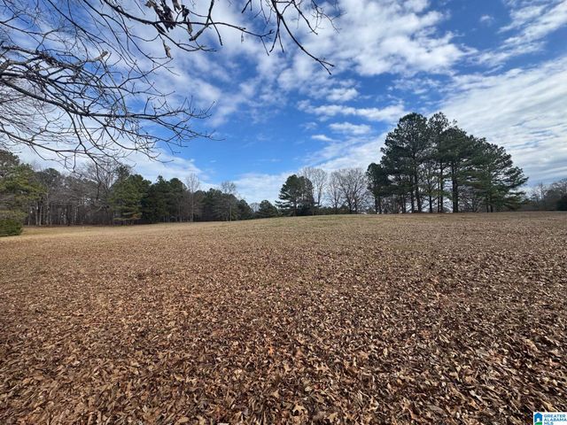 3953 LOGAN MARTIN DAM ROAD, Cropwell, AL 35054