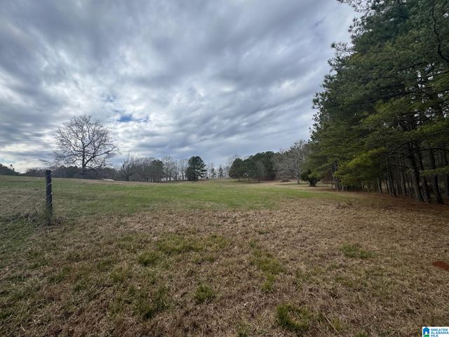 3953 LOGAN MARTIN DAM ROAD, Cropwell, AL 35054
