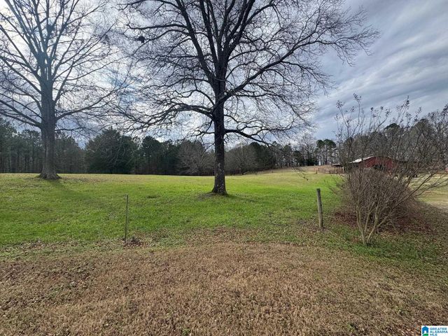 3953 LOGAN MARTIN DAM ROAD, Cropwell, AL 35054