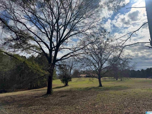 3953 LOGAN MARTIN DAM ROAD, Cropwell, AL 35054