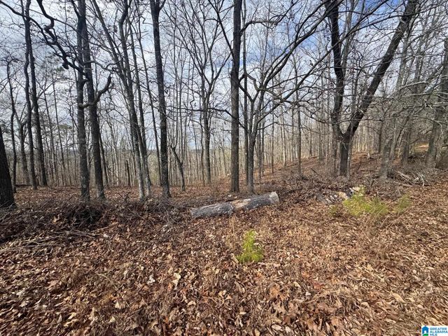 3953 LOGAN MARTIN DAM ROAD, Cropwell, AL 35054