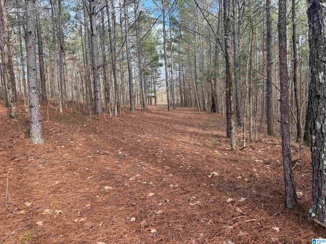 3953 LOGAN MARTIN DAM ROAD, Cropwell, AL 35054