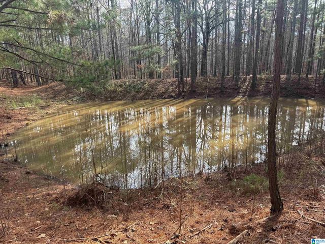 3953 LOGAN MARTIN DAM ROAD, Cropwell, AL 35054