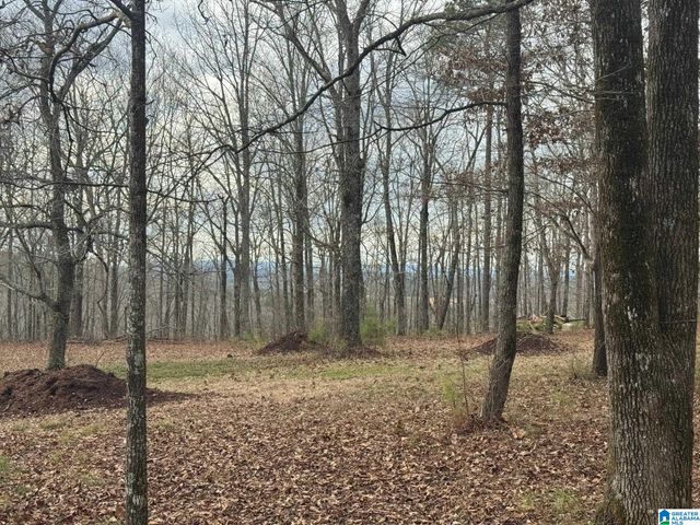 3953 LOGAN MARTIN DAM ROAD, Cropwell, AL 35054