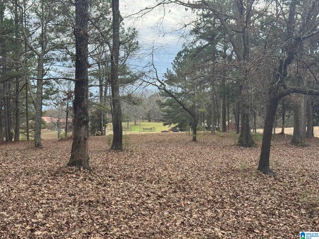 3953 LOGAN MARTIN DAM ROAD, Cropwell, AL 35054