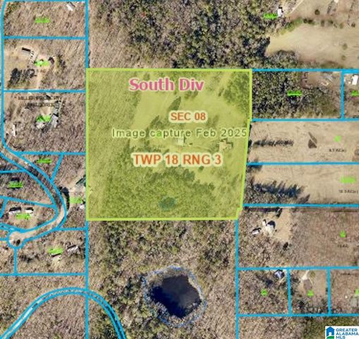 3953 LOGAN MARTIN DAM ROAD, Cropwell, AL 35054