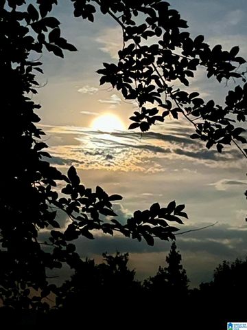 3953 LOGAN MARTIN DAM ROAD, Cropwell, AL 35054