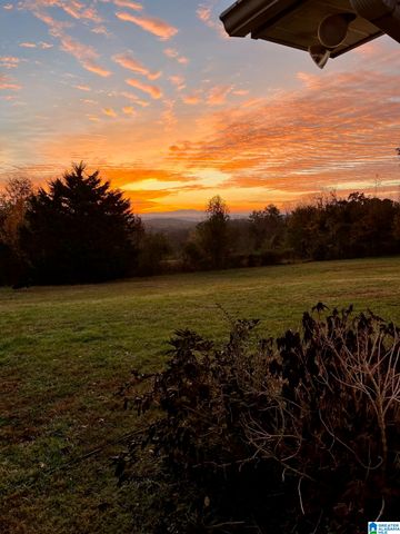 3953 LOGAN MARTIN DAM ROAD, Cropwell, AL 35054