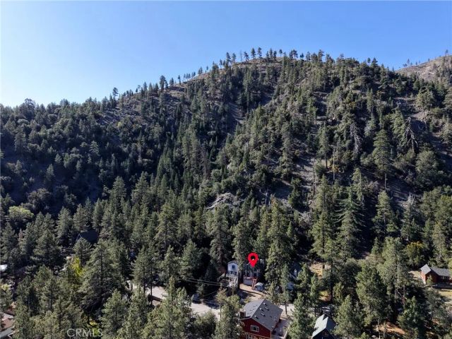 2015 Mojave Scenic, Wrightwood, CA 92397