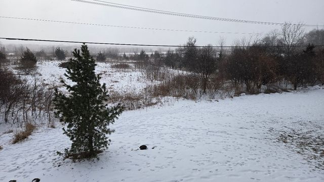 482 Nicole Drive 8B, Bartlett, IL 60103