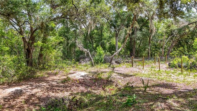 24307 ADAIR AVENUE, Sorrento, FL 32776