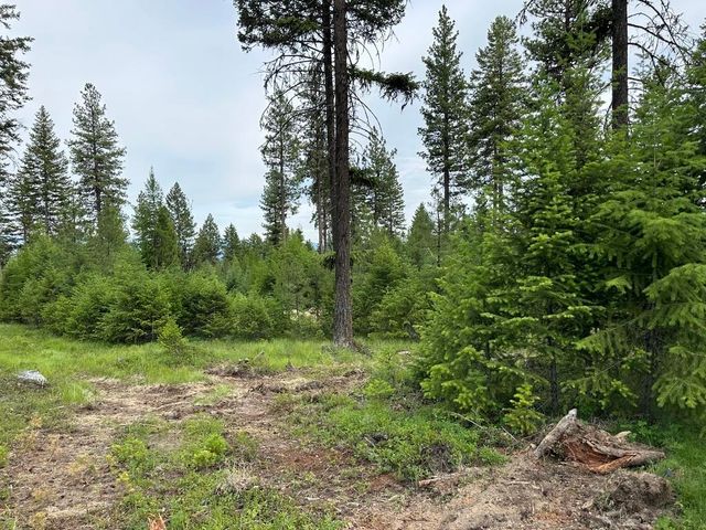 36XX Lot B Sheridan Rd, Republic, WA 99166 property photo