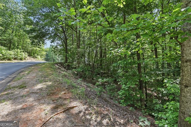 0 Plum Lane LT 53, Clarkesville, GA 30523