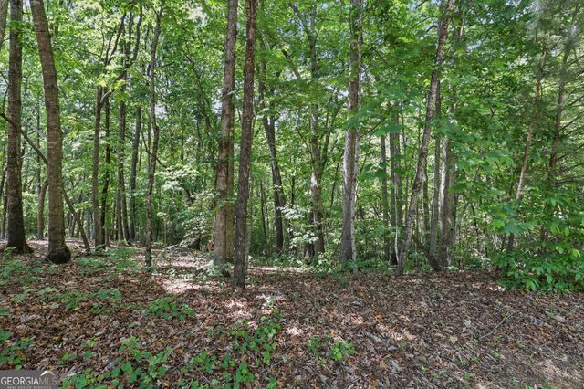 0 Plum Lane LT 53, Clarkesville, GA 30523
