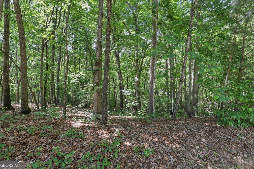 0 Plum Lane LT 53, Clarkesville, GA 30523 — photo 5