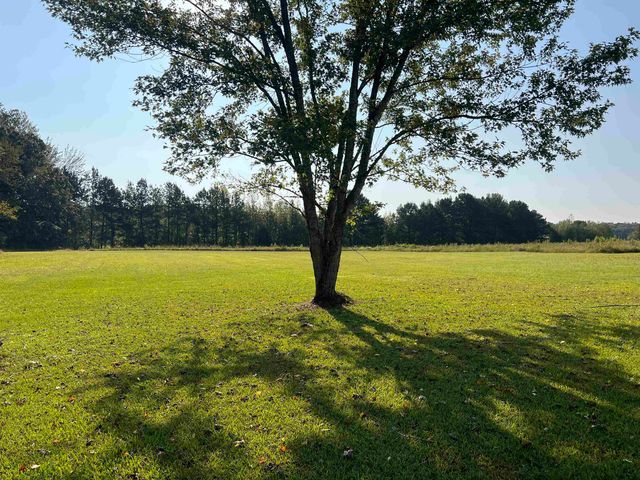 150 CAP BLOUNT LN, Savannah, TN 38372