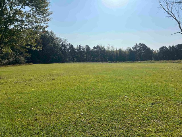 150 CAP BLOUNT LN, Savannah, TN 38372