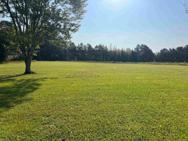 150 CAP BLOUNT LN, Savannah, TN 38372