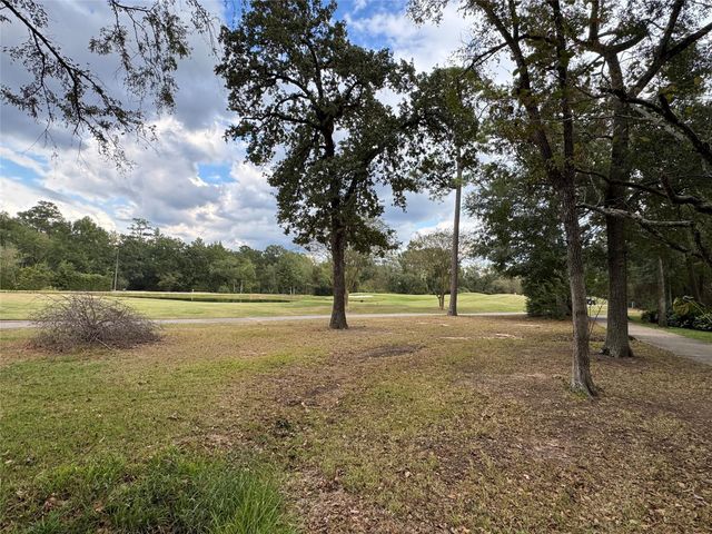 10816 Colony Wood Place, Spring, TX 77380