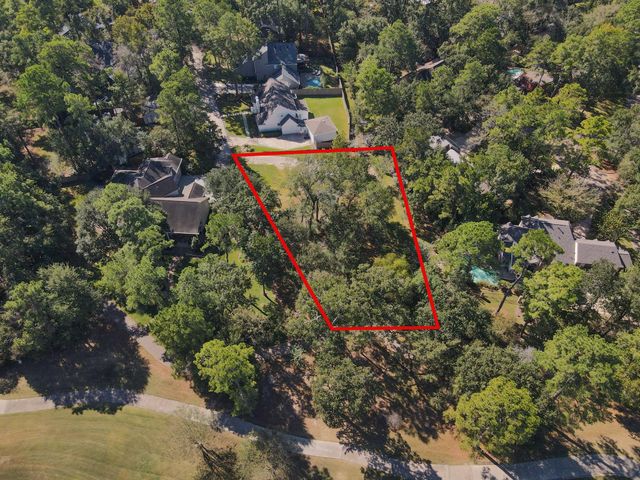 10816 Colony Wood Place, Spring, TX 77380