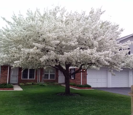 45 Willow Circle, Cary, IL 60013