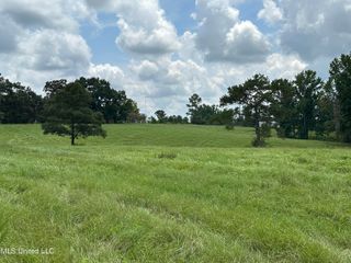 00 Slade Woodward Road, Poplarville, MS 39470