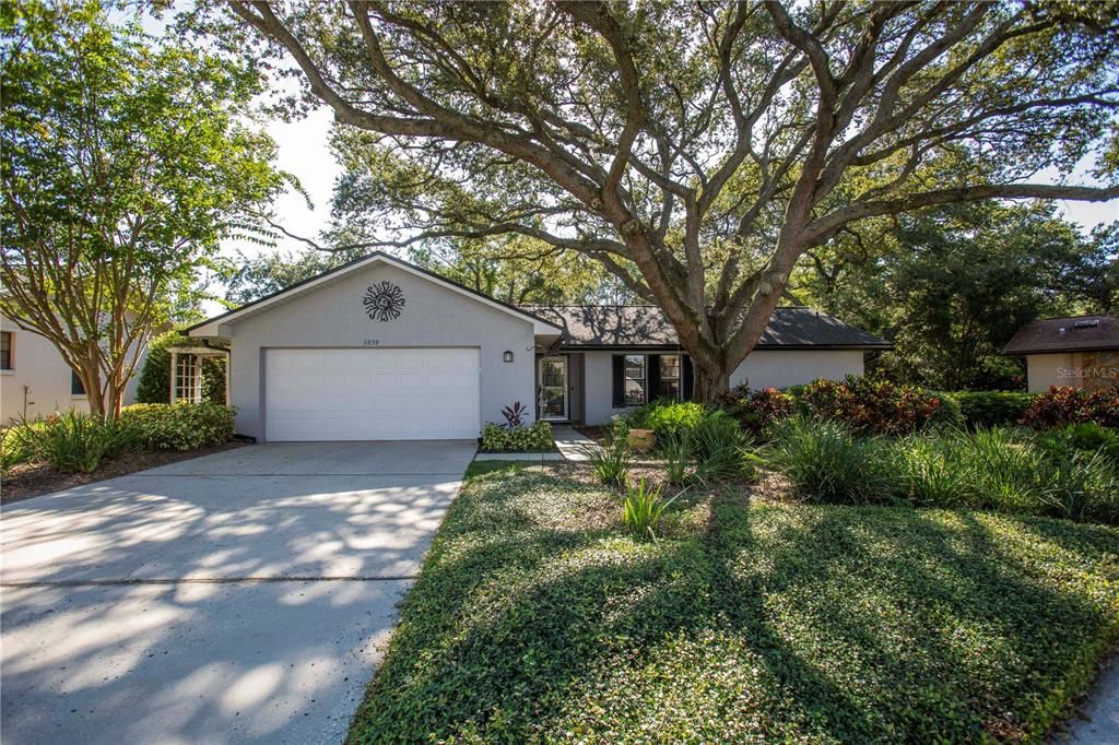 3050 GLENWOOD COURT, Safety Harbor, FL 34695