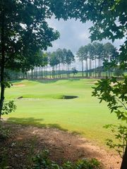 120 Hawks Court, Ball Ground, GA 30107