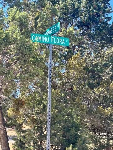 2 CAMINO FLORA Court, Tijeras, NM 87059