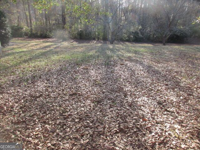 196 Charlie Sheppard Road, Jackson, GA 30233