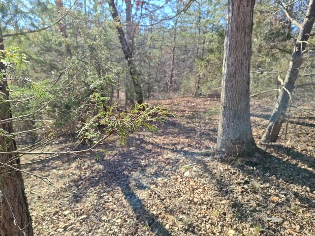 0 Skyhigh Trail, Dunlap, TN 37327